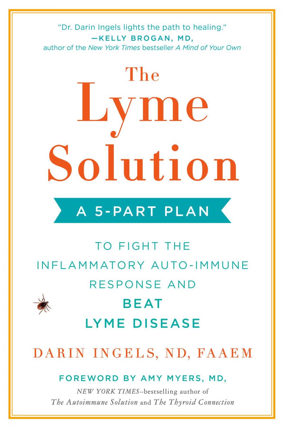 Big bigCover of The Lyme Solution