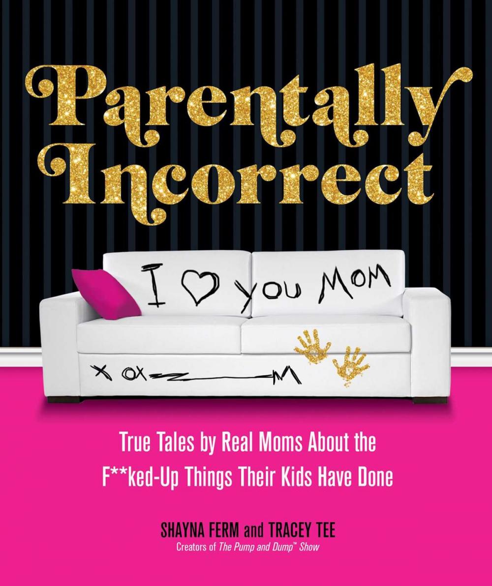 Big bigCover of Parentally Incorrect