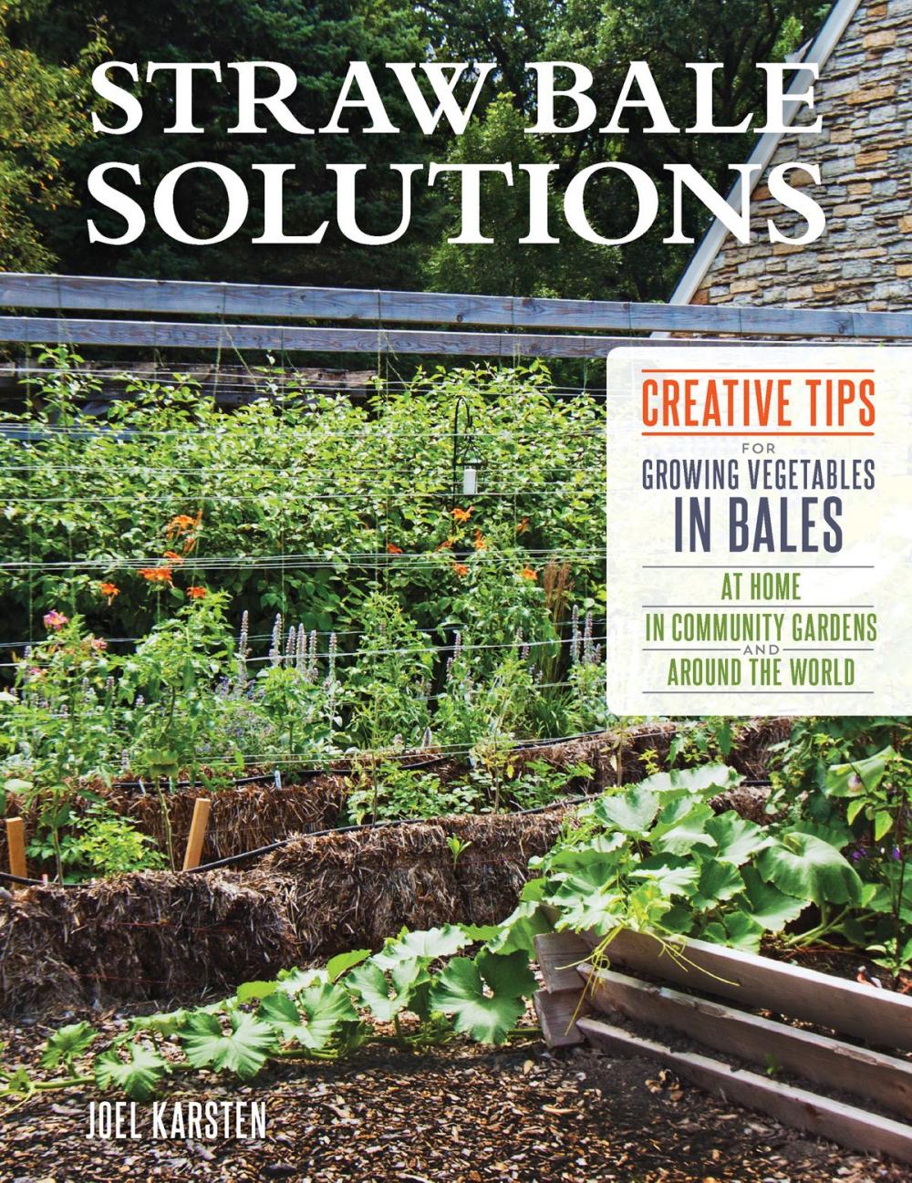 Big bigCover of Straw Bale Solutions