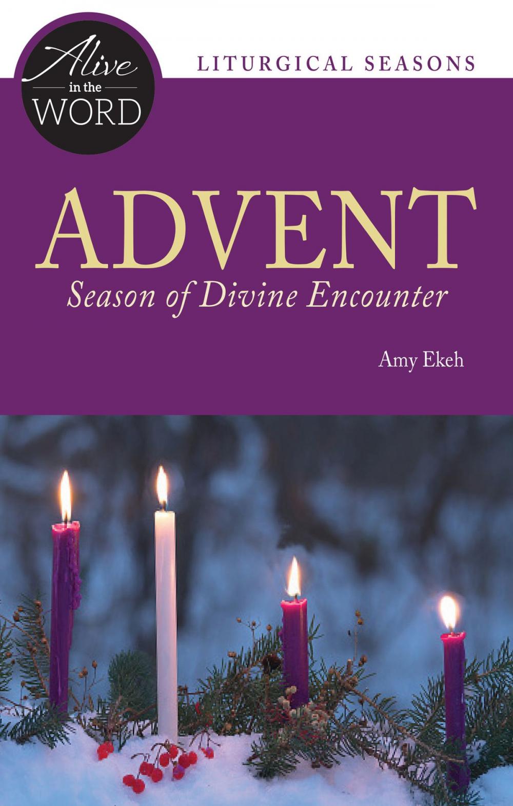 Big bigCover of Advent, Season of Divine Encounter