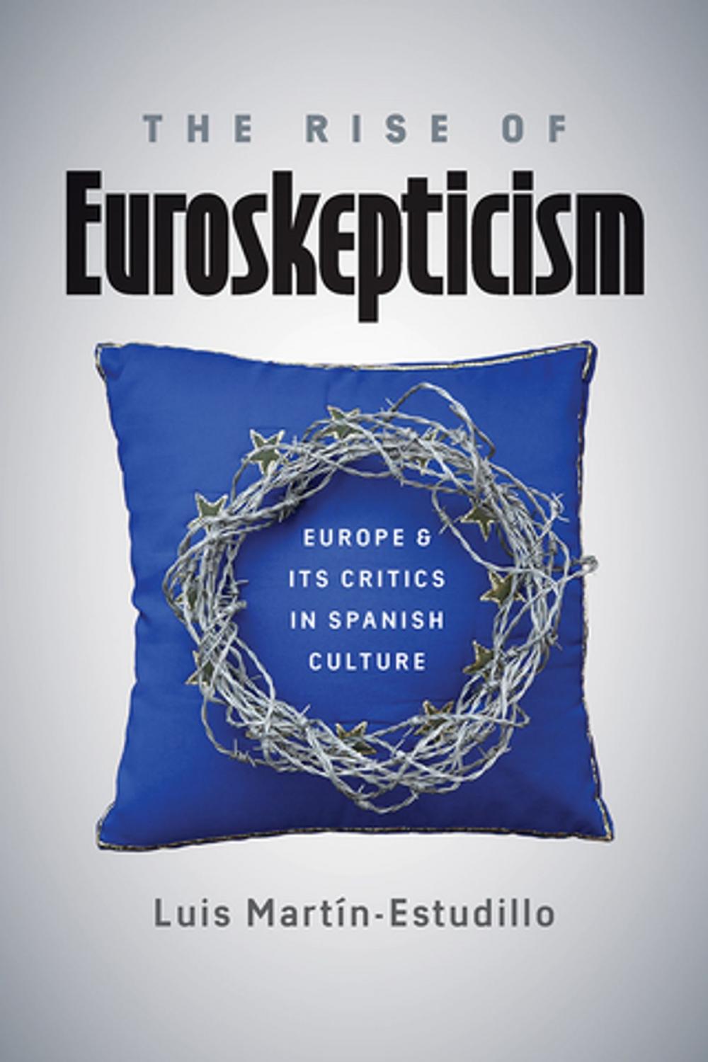 Big bigCover of The Rise of Euroskepticism