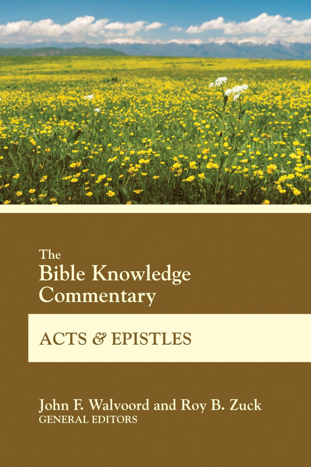 Big bigCover of The Bible Knowledge Commentary Acts and Epistles