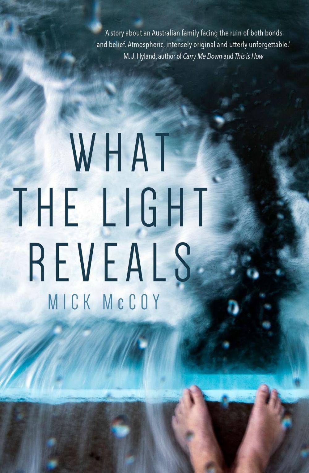 Big bigCover of What the Light Reveals