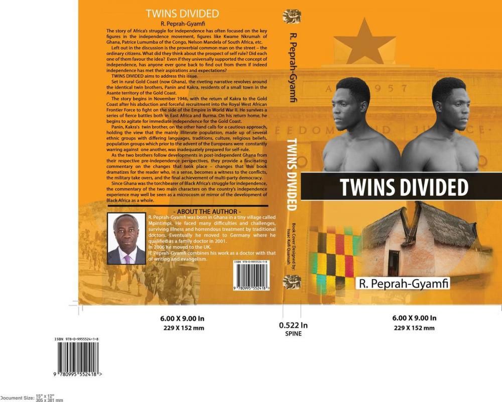 Big bigCover of TWINS DIVIDED