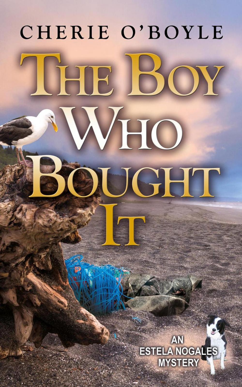 Big bigCover of The Boy Who Bought It