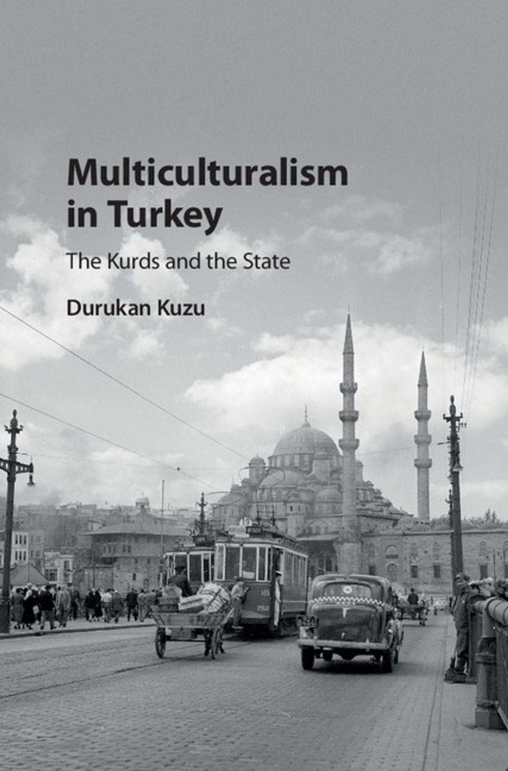 Big bigCover of Multiculturalism in Turkey