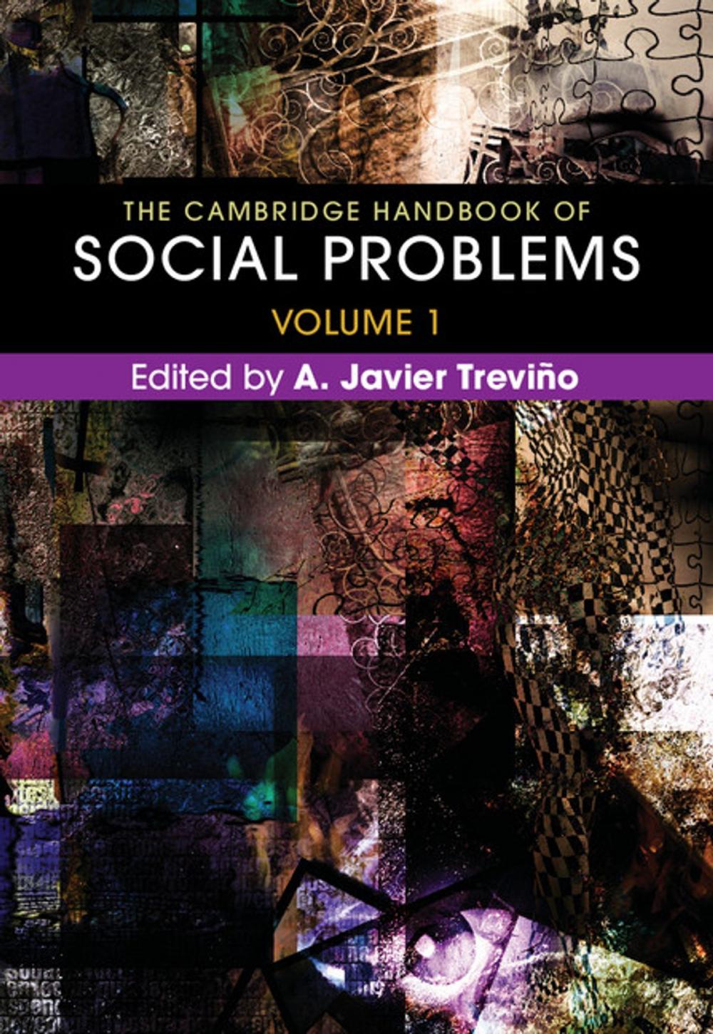 Big bigCover of The Cambridge Handbook of Social Problems: Volume 1