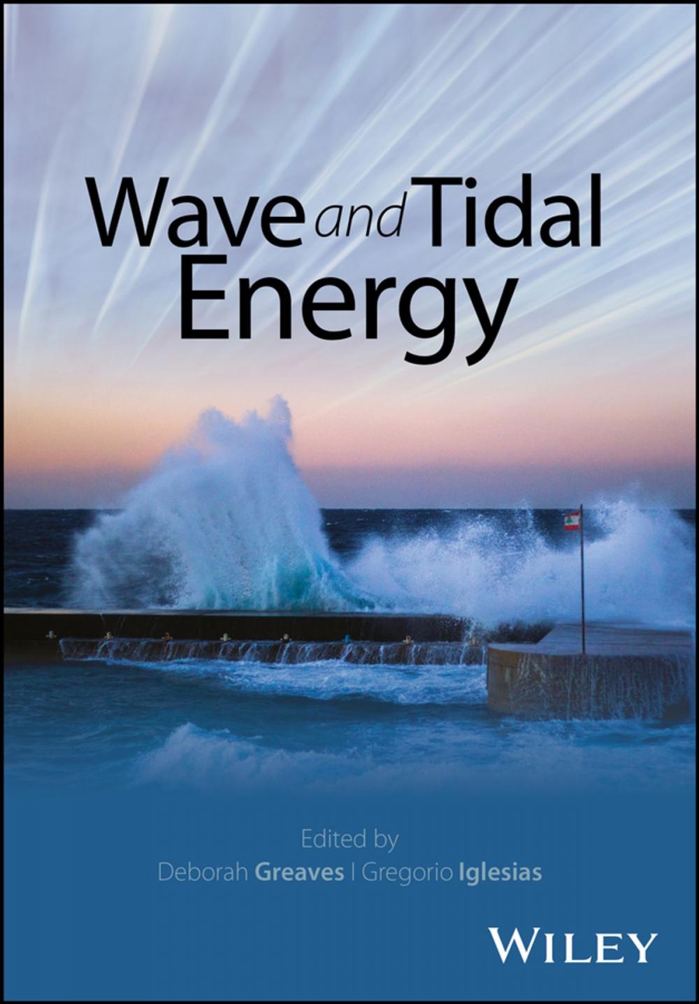 Big bigCover of Wave and Tidal Energy