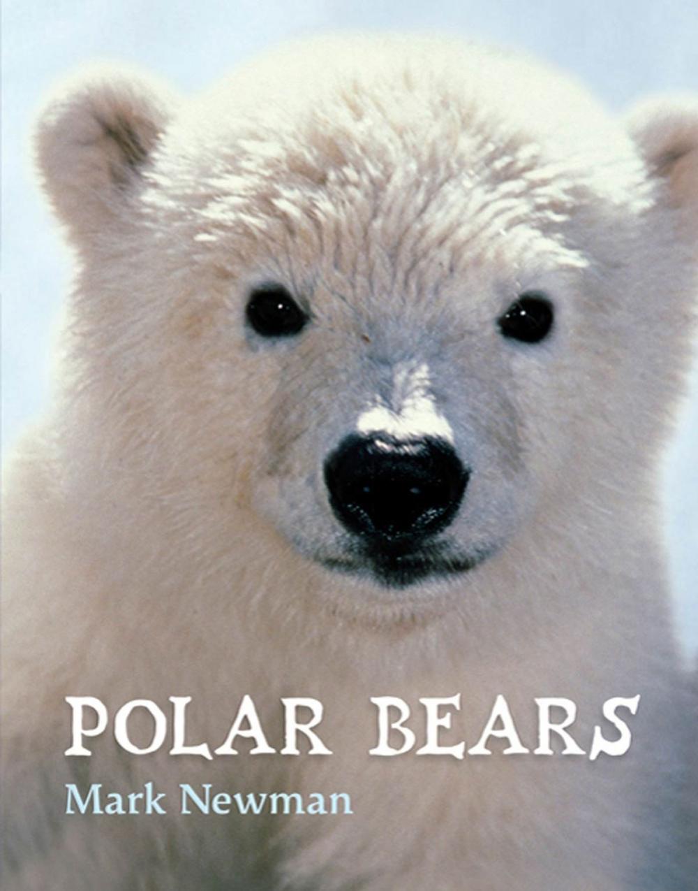 Big bigCover of Polar Bears