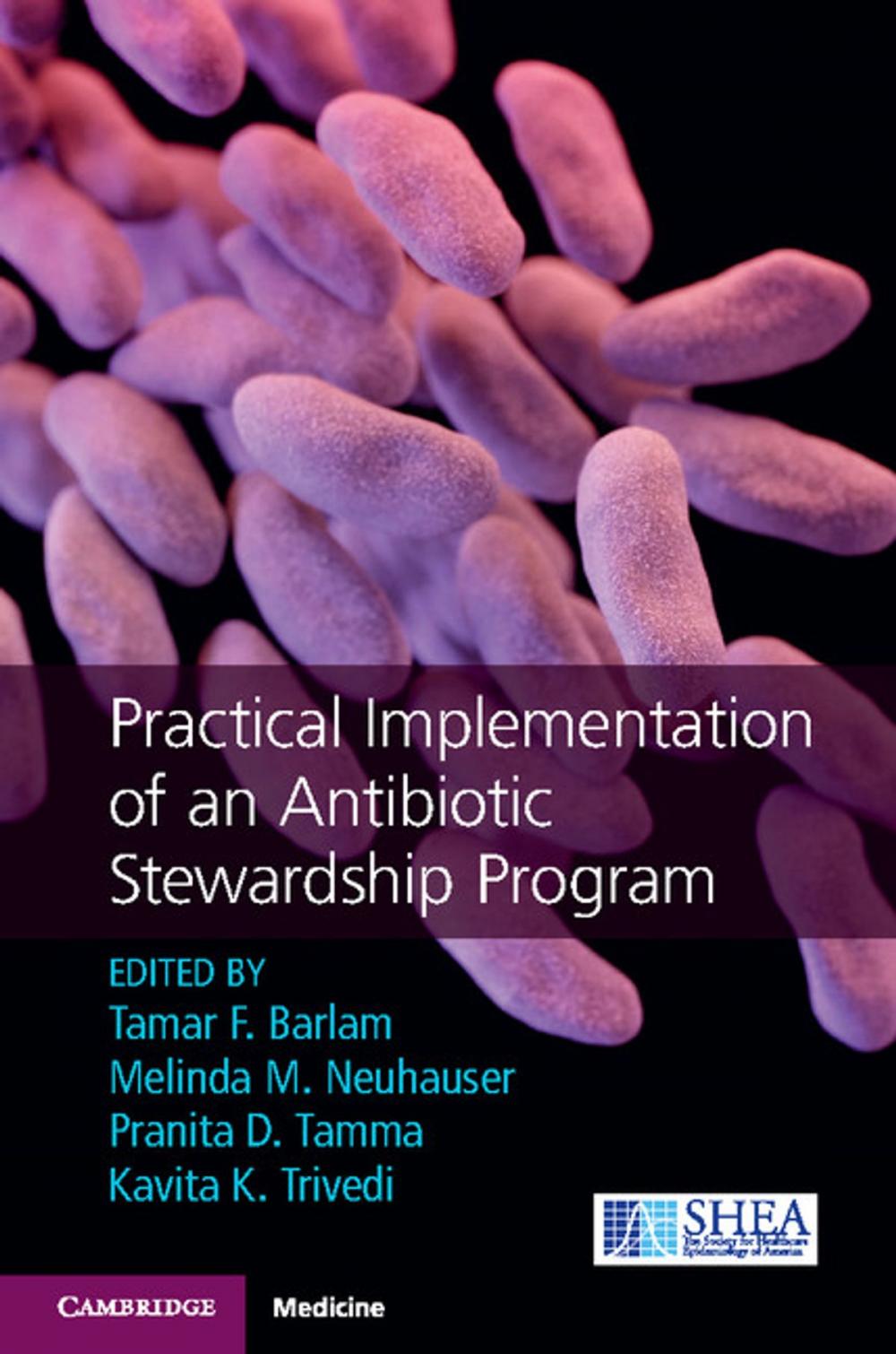 Big bigCover of Practical Implementation of an Antibiotic Stewardship Program