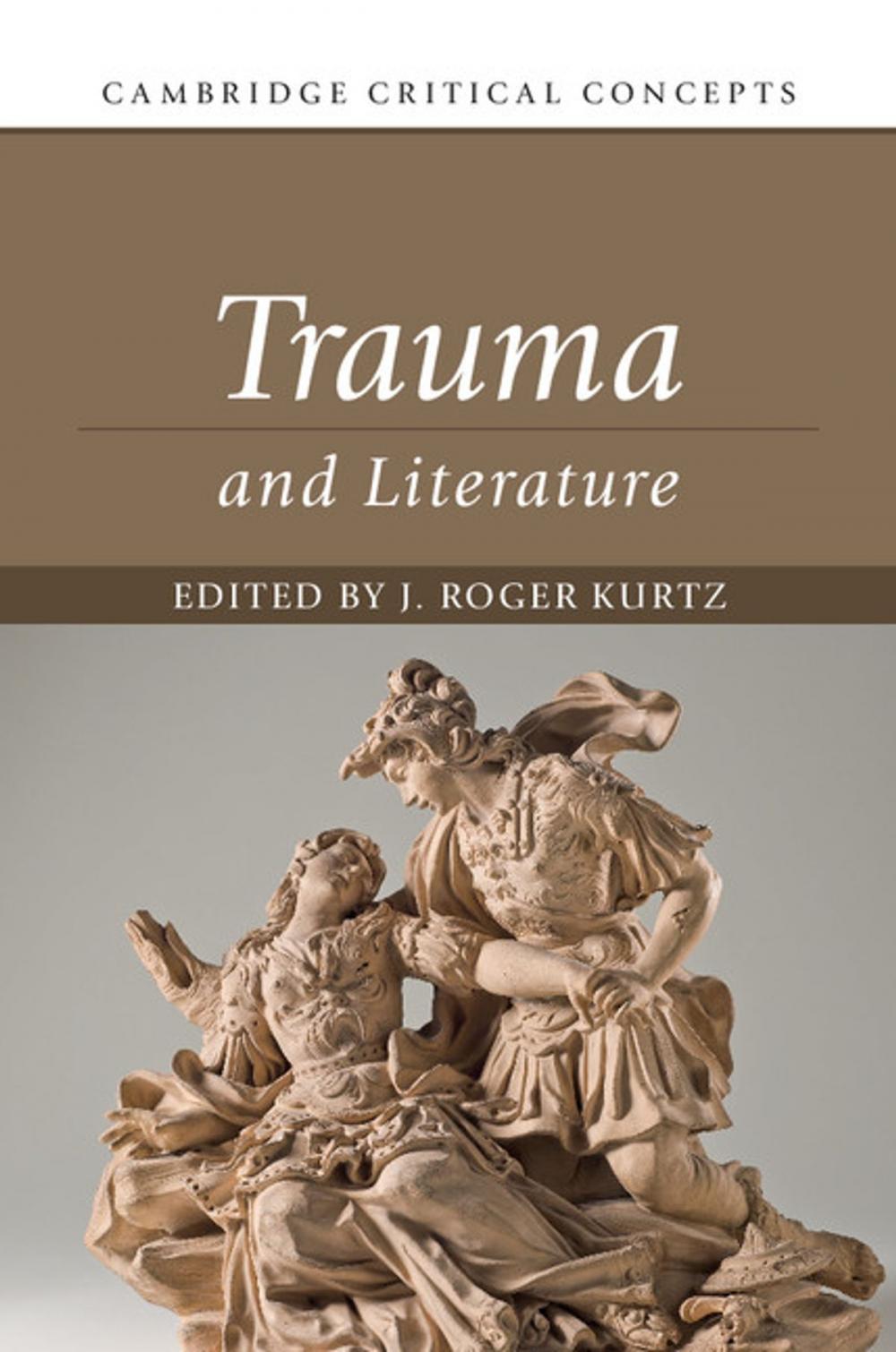 Big bigCover of Trauma and Literature