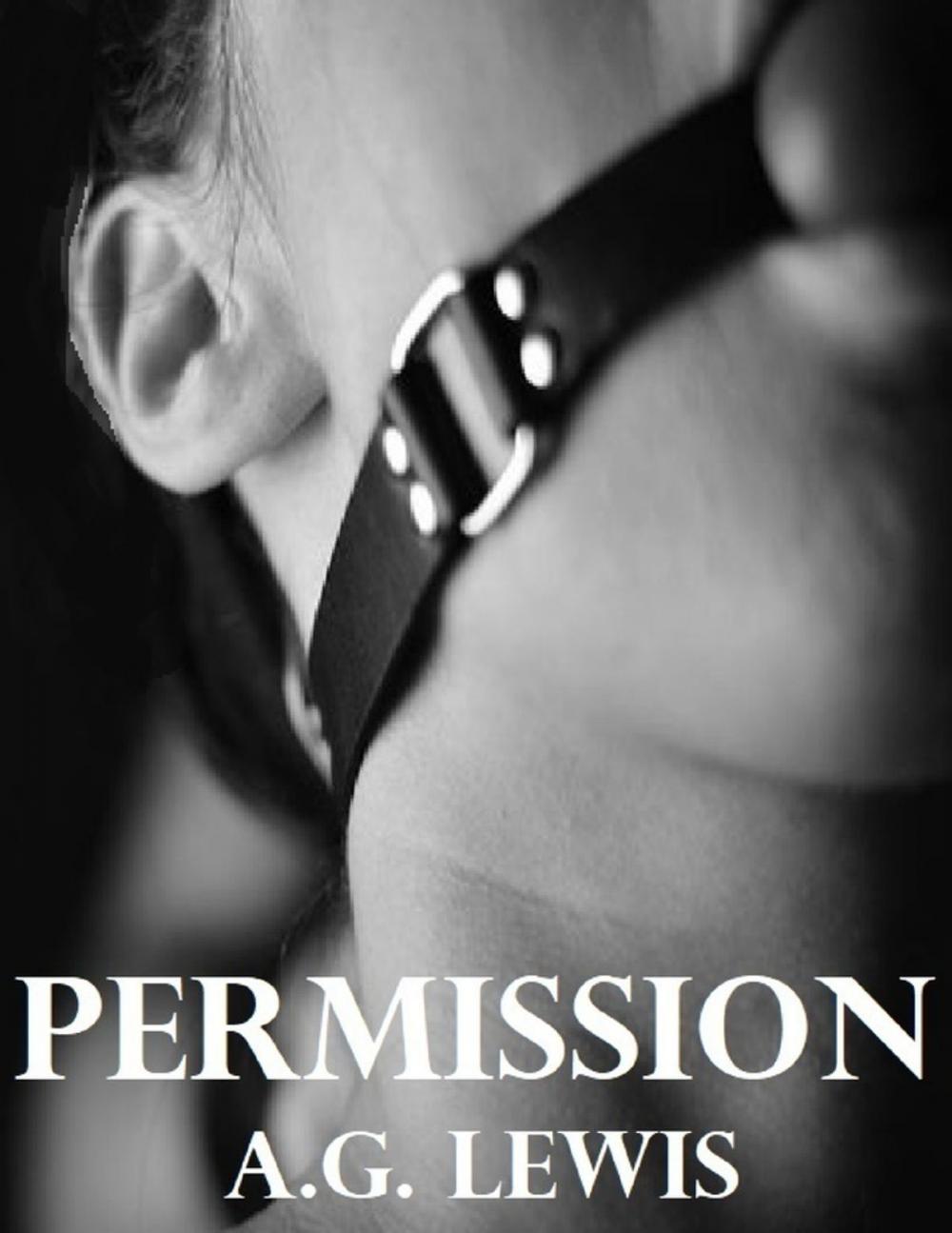 Big bigCover of Permission