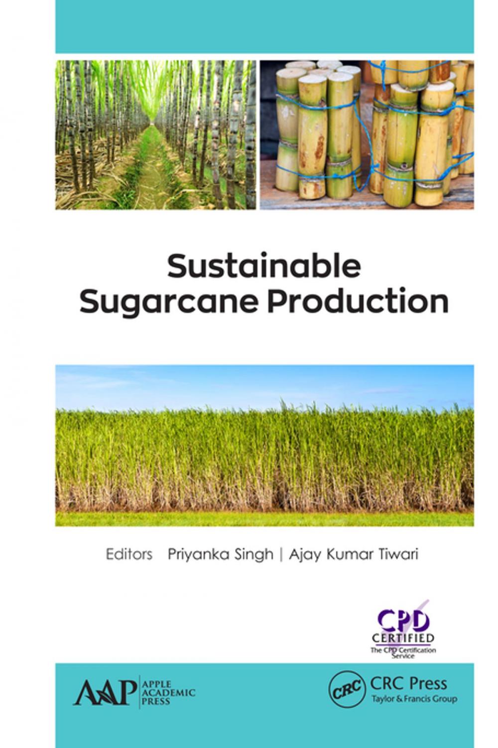 Big bigCover of Sustainable Sugarcane Production