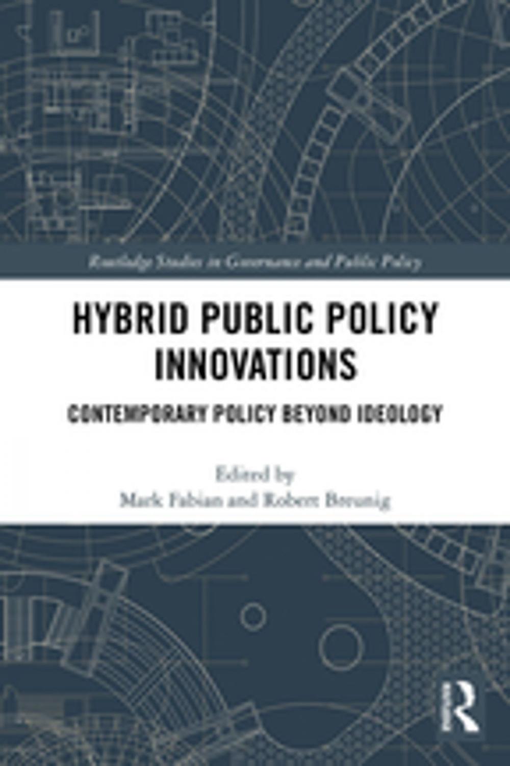 Big bigCover of Hybrid Public Policy Innovations