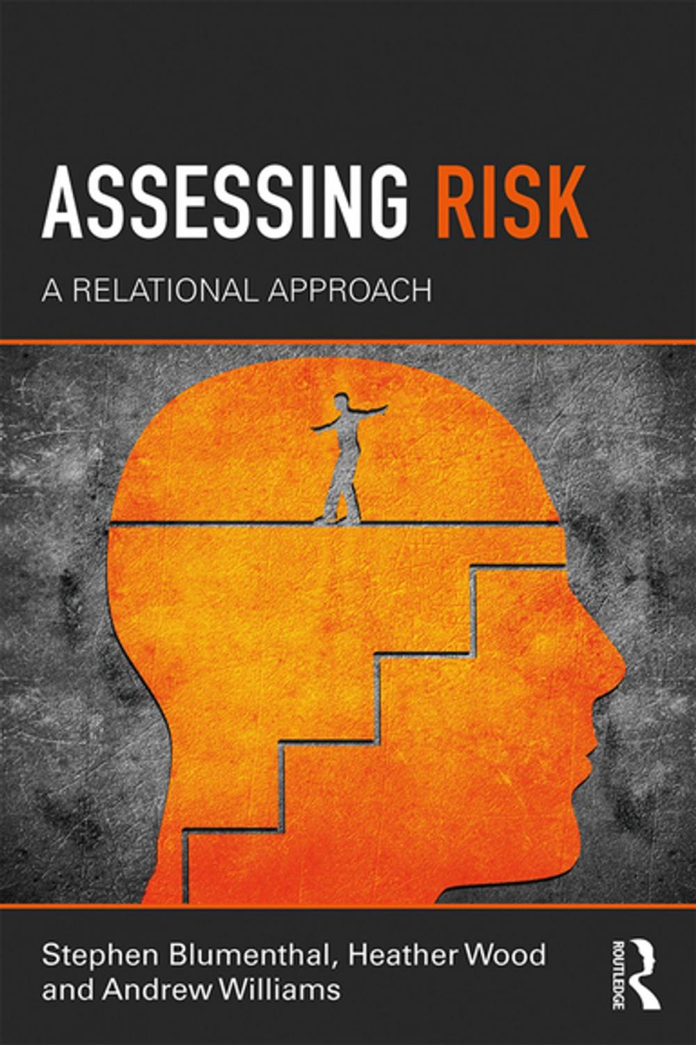 Big bigCover of Assessing Risk