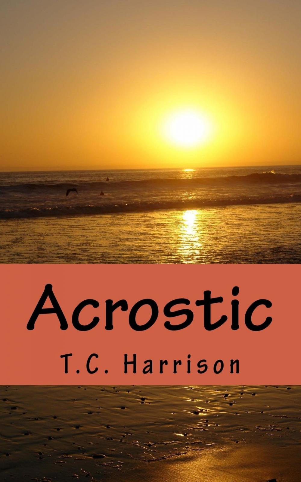 Big bigCover of Acrostic