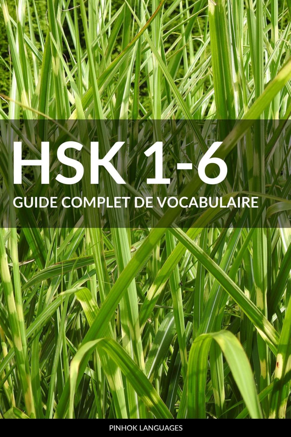 Big bigCover of HSK 1-6 Guide Complet de Vocabulaire