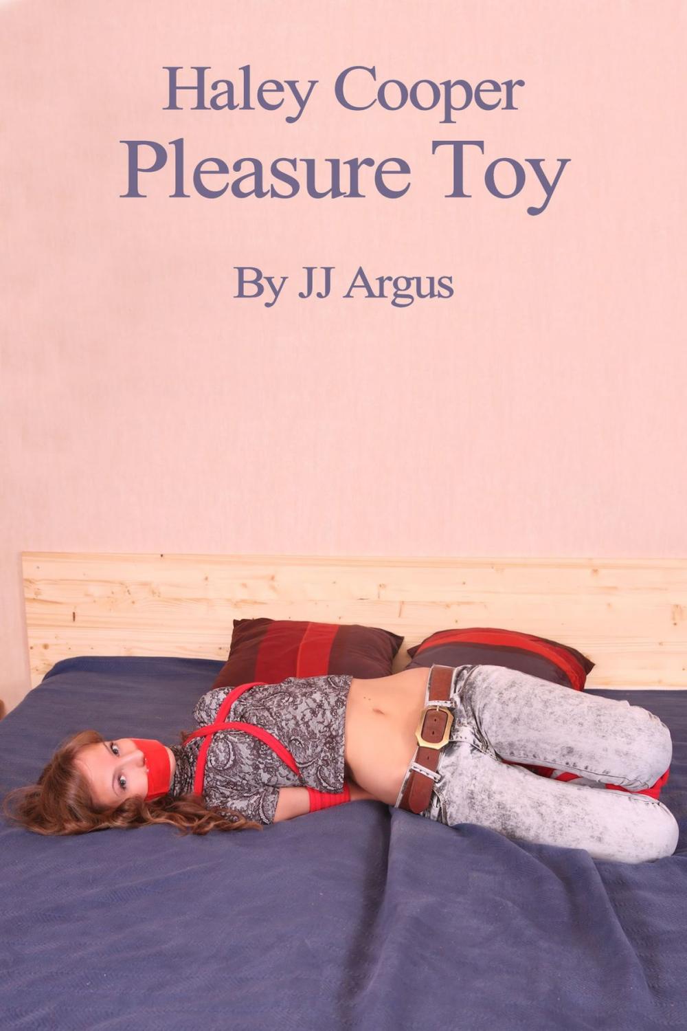 Big bigCover of Haley Cooper, Pleasure Toy