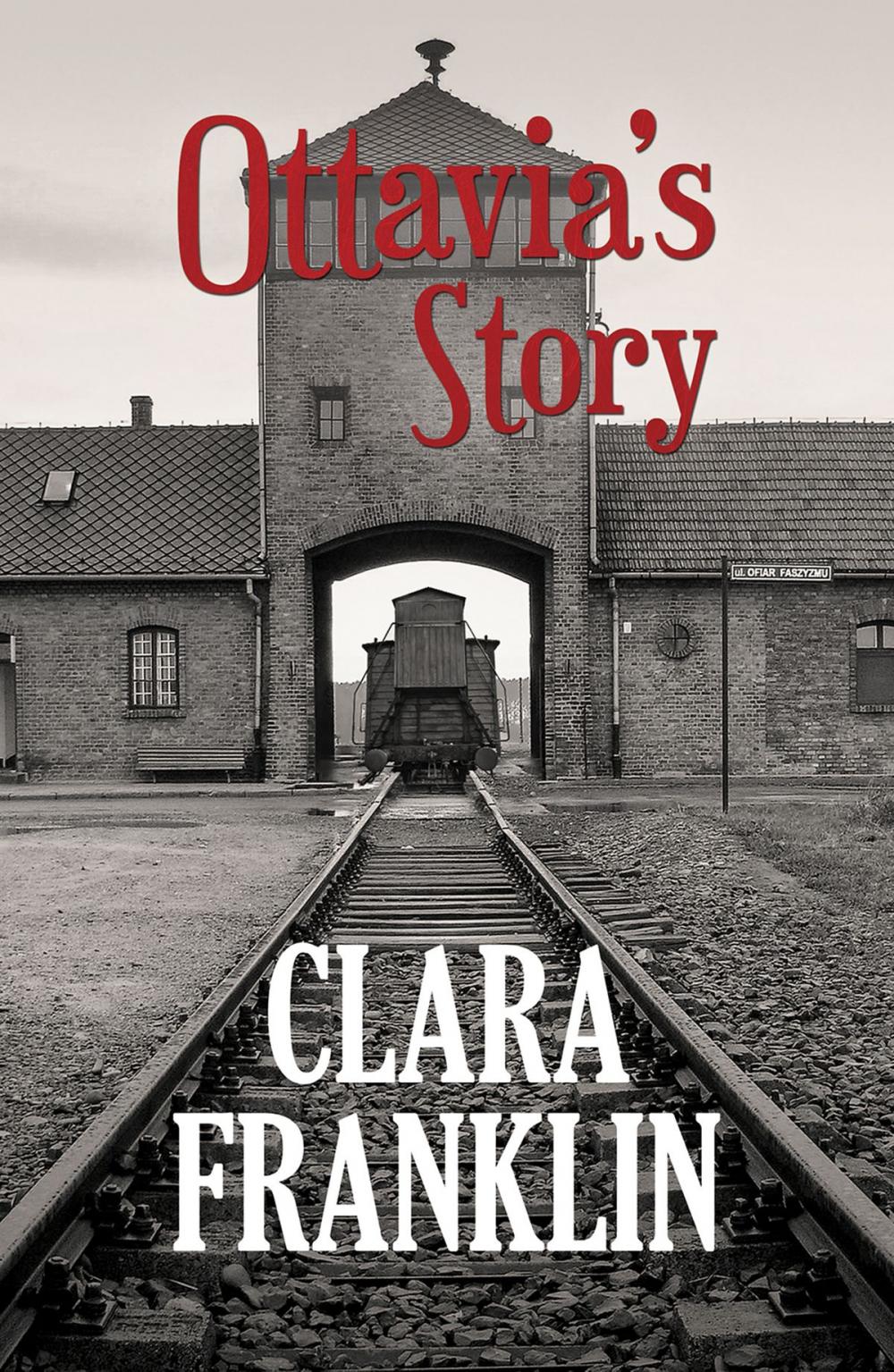 Big bigCover of Ottavia's Story