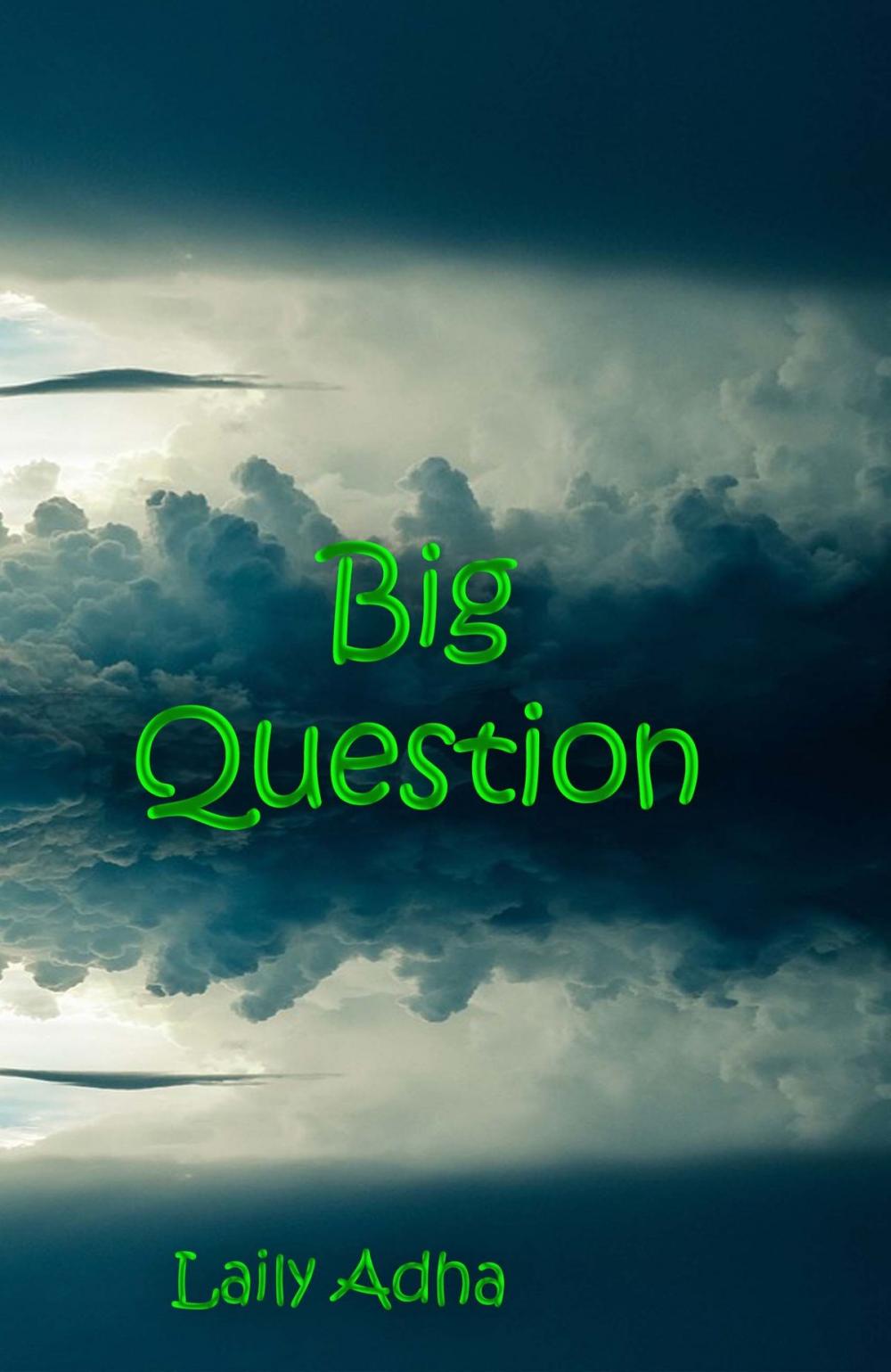 Big bigCover of Big Question