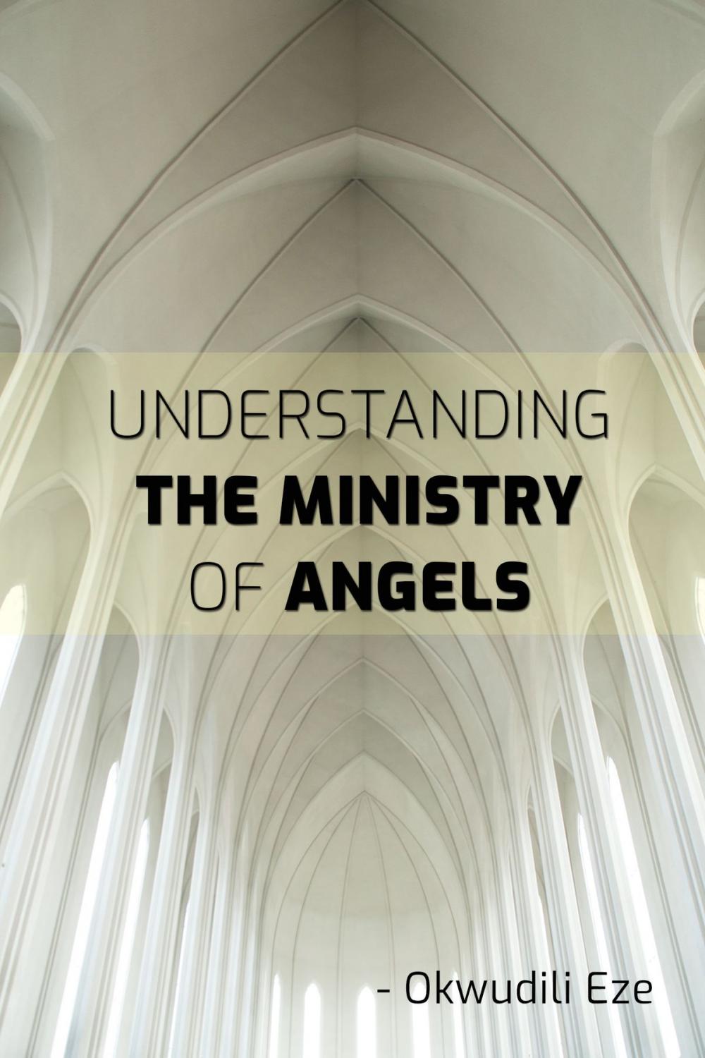 Big bigCover of Understanding the Ministry of Angels