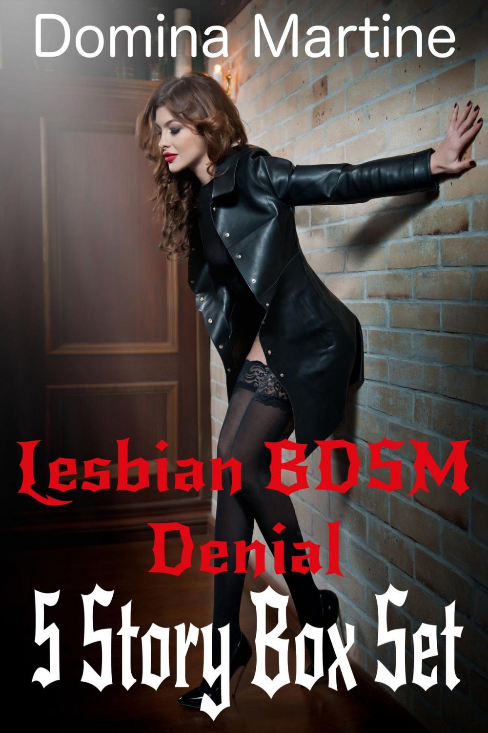 Big bigCover of Lesbian BDSM Denial: 5 Story Box Set