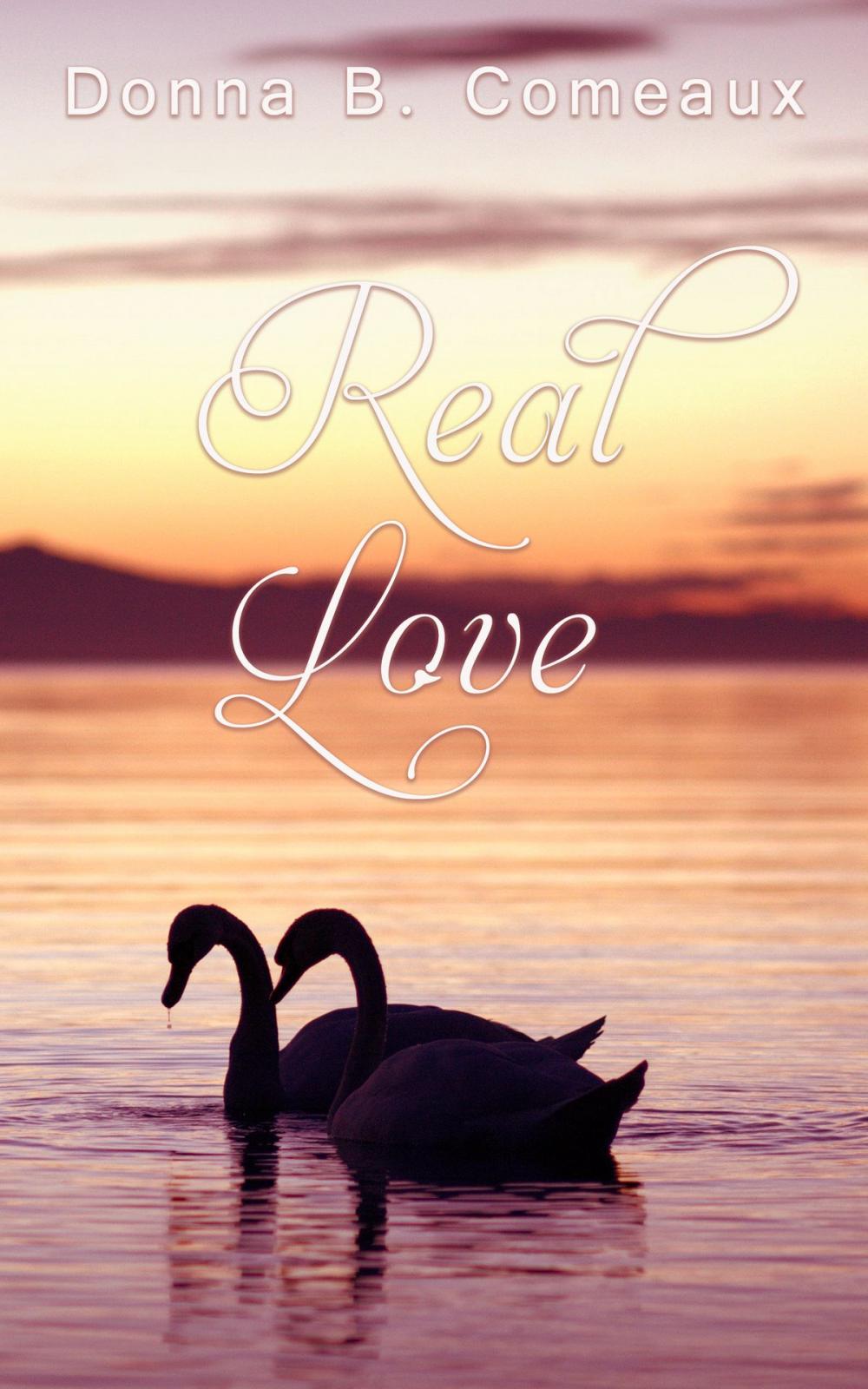 Big bigCover of Real Love