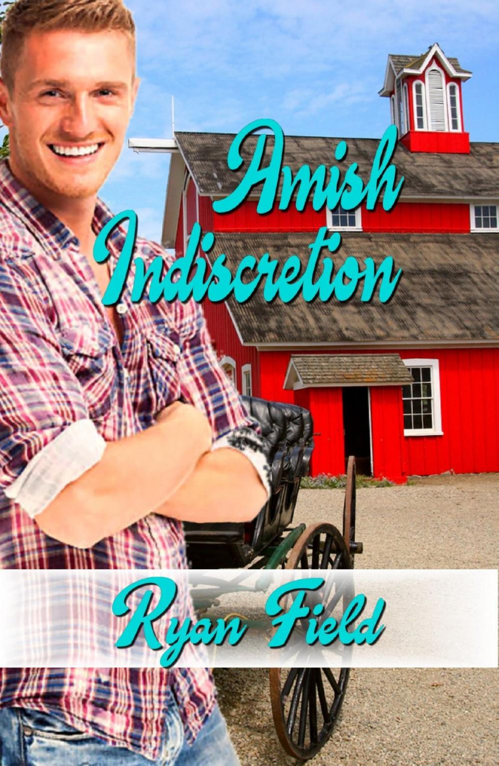 Big bigCover of Amish Indiscretion