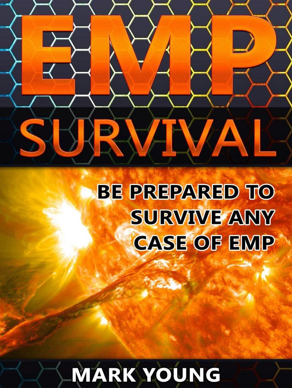 Big bigCover of EMP Survival: Be Prepared To Survive Any Case of EMP