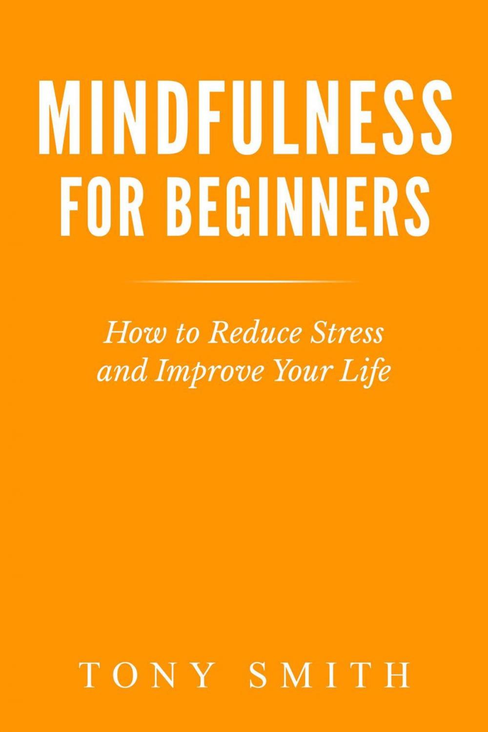 Big bigCover of Mindfulness for Beginners: How to Reduce Stress and Improve Your Life