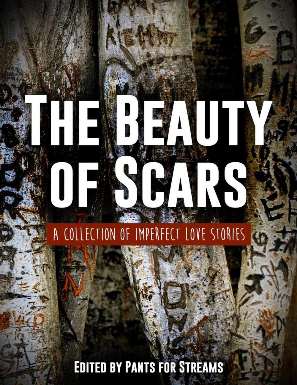 Big bigCover of The Beauty of Scars