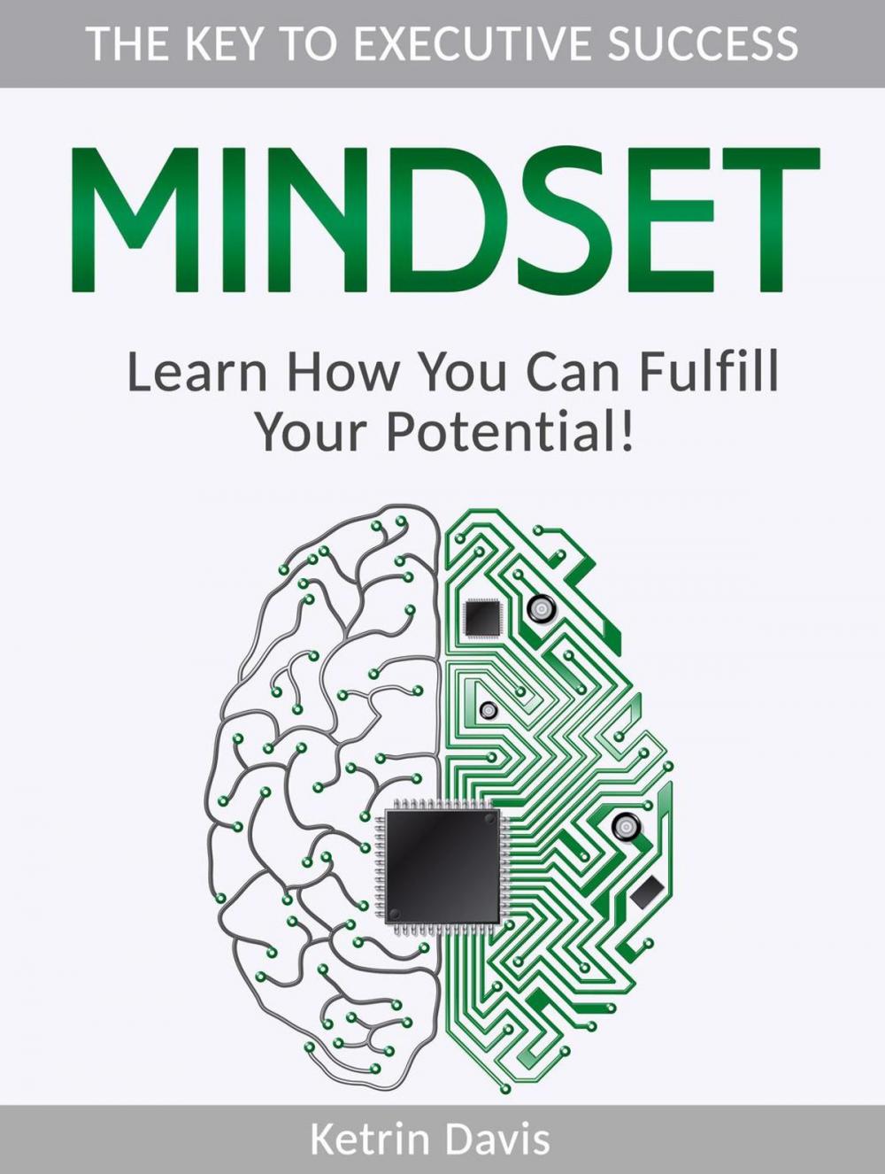 Big bigCover of Mindset: The Key to Executive Success. Learn How You Can Fulfill Your Potential!