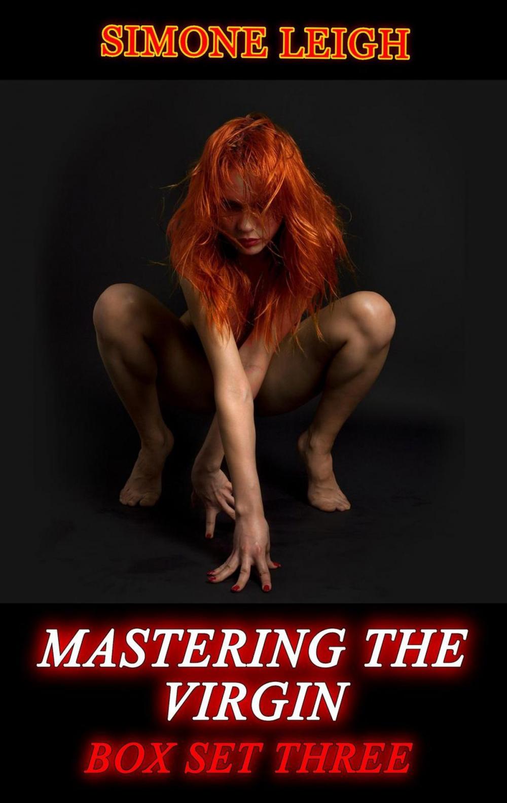 Big bigCover of Mastering the Virgin - Box Set Three