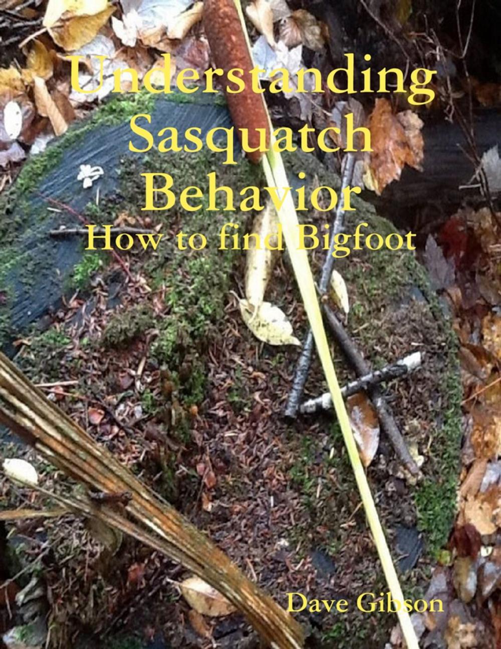 Big bigCover of Understanding Sasquatch Behavior: How to Find Bigfoot