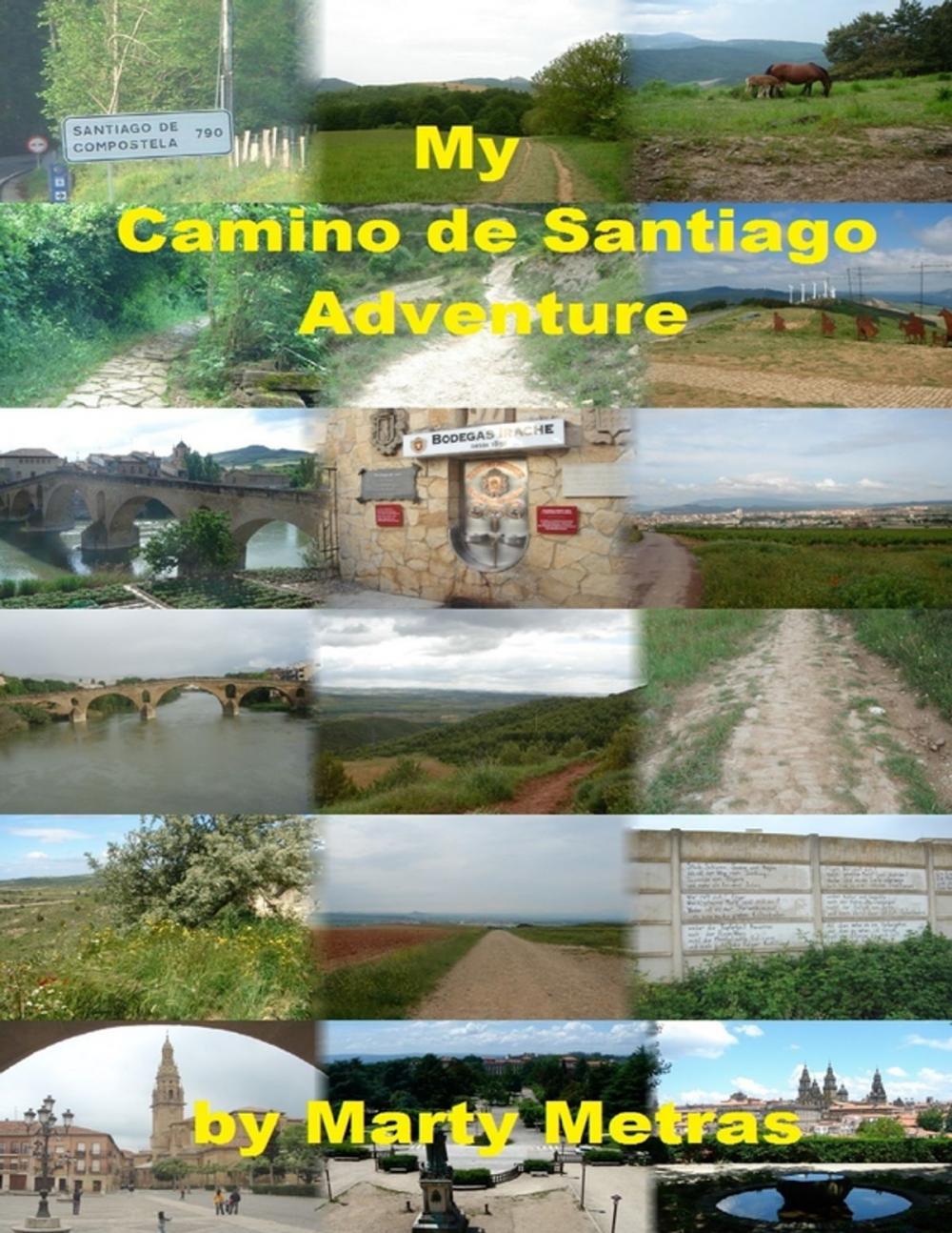 Big bigCover of My Camino de Santiago Adventure