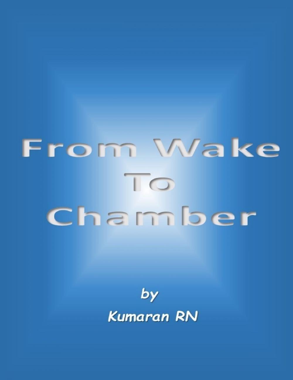 Big bigCover of From Wake to Chamber