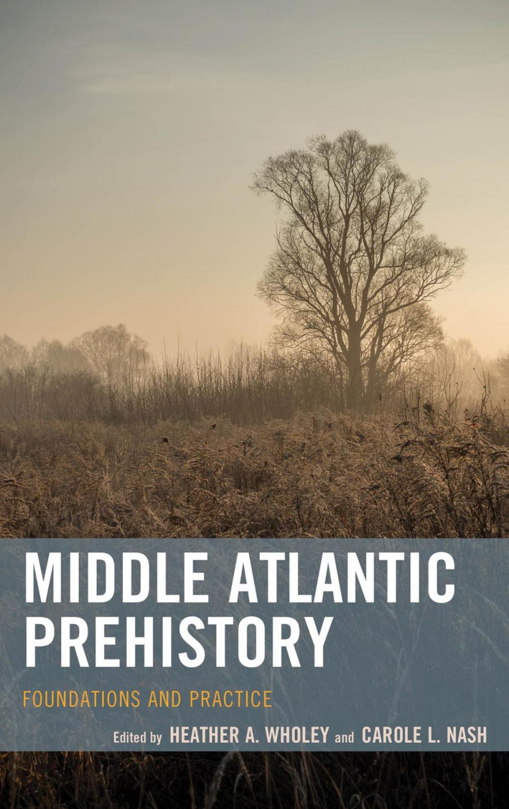 Big bigCover of Middle Atlantic Prehistory