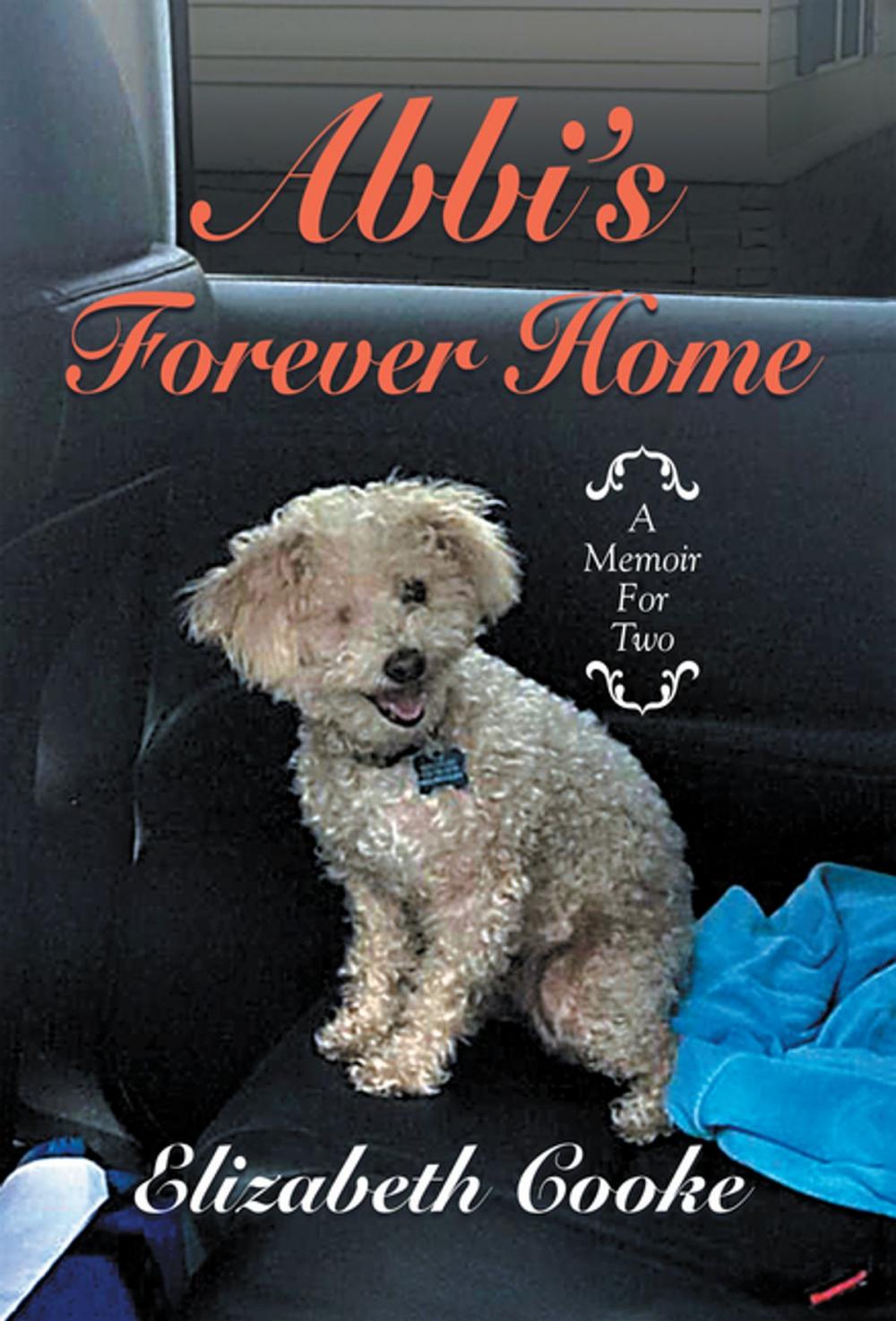 Big bigCover of Abbi’S Forever Home