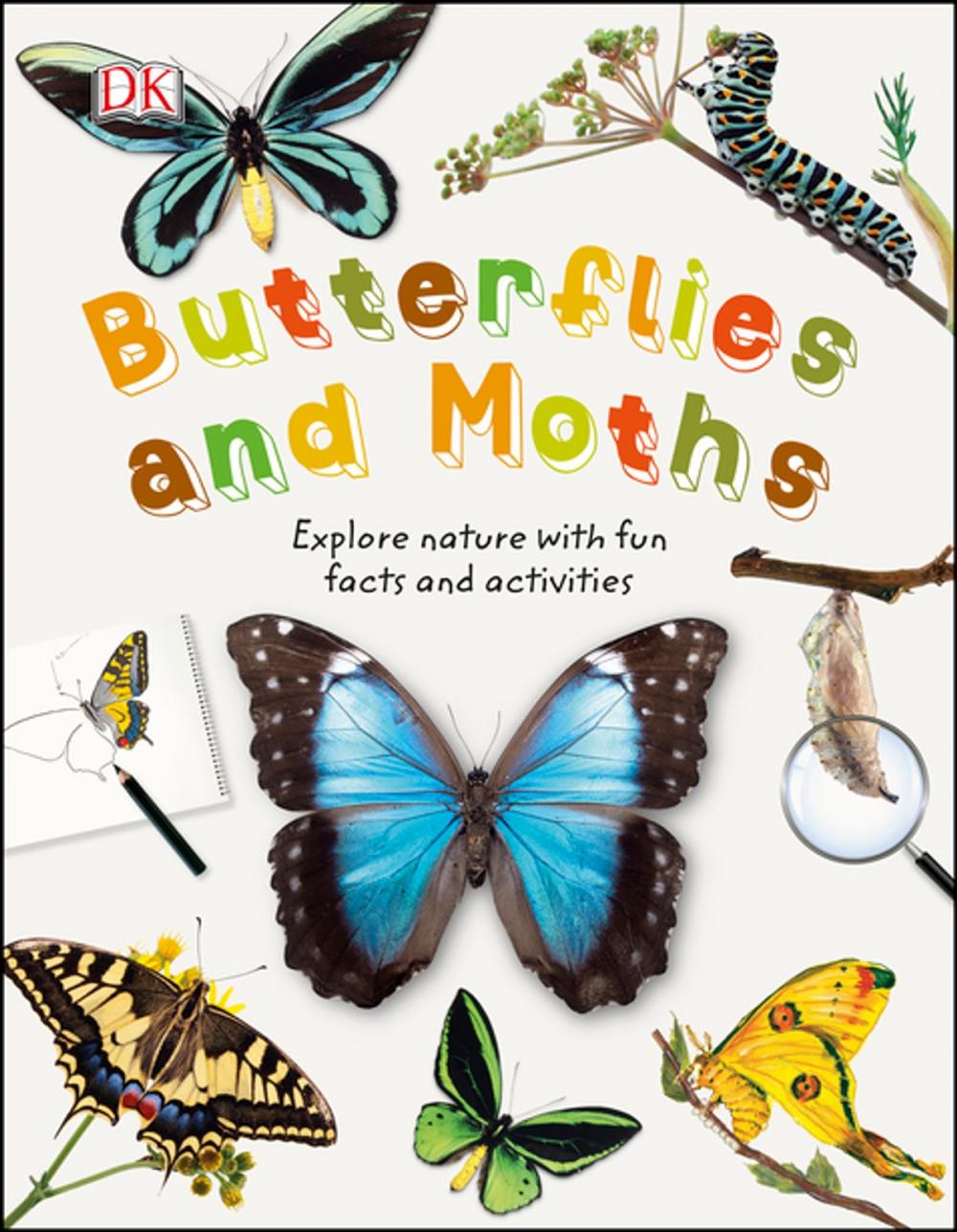 Big bigCover of Butterflies and Moths