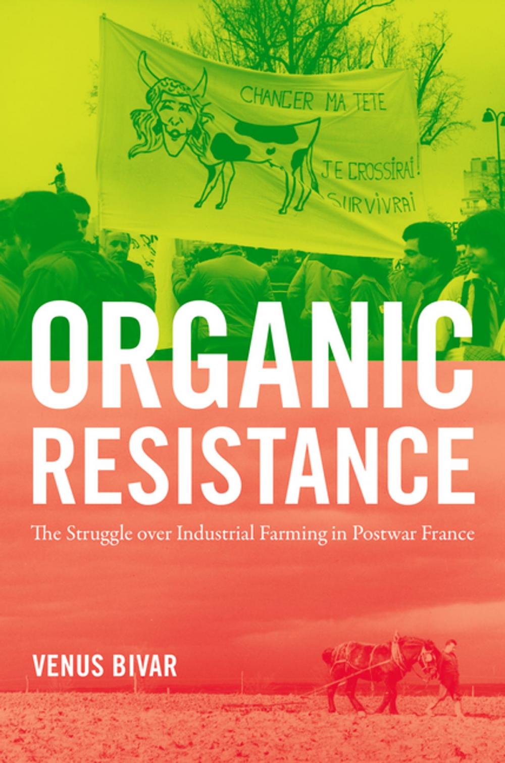 Big bigCover of Organic Resistance