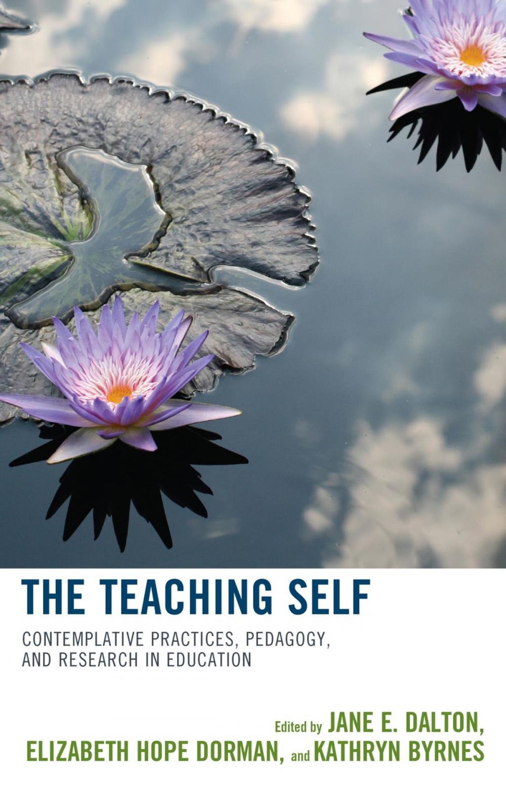 Big bigCover of The Teaching Self