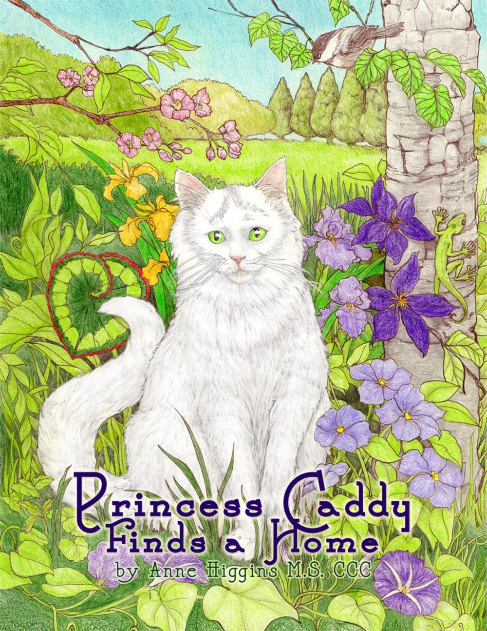 Big bigCover of Princess Caddy Finds a Home