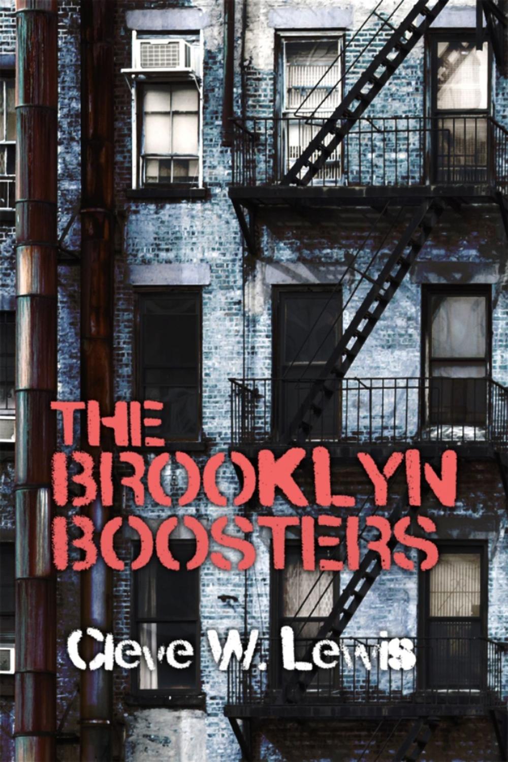 Big bigCover of The Brooklyn Boosters