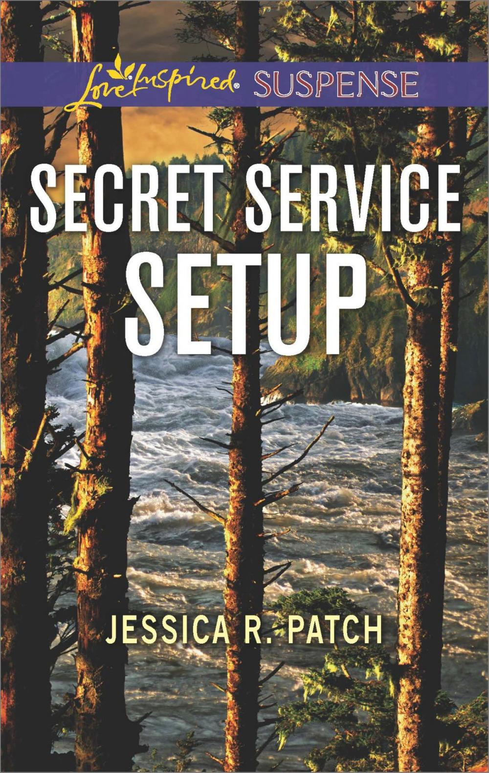 Big bigCover of Secret Service Setup