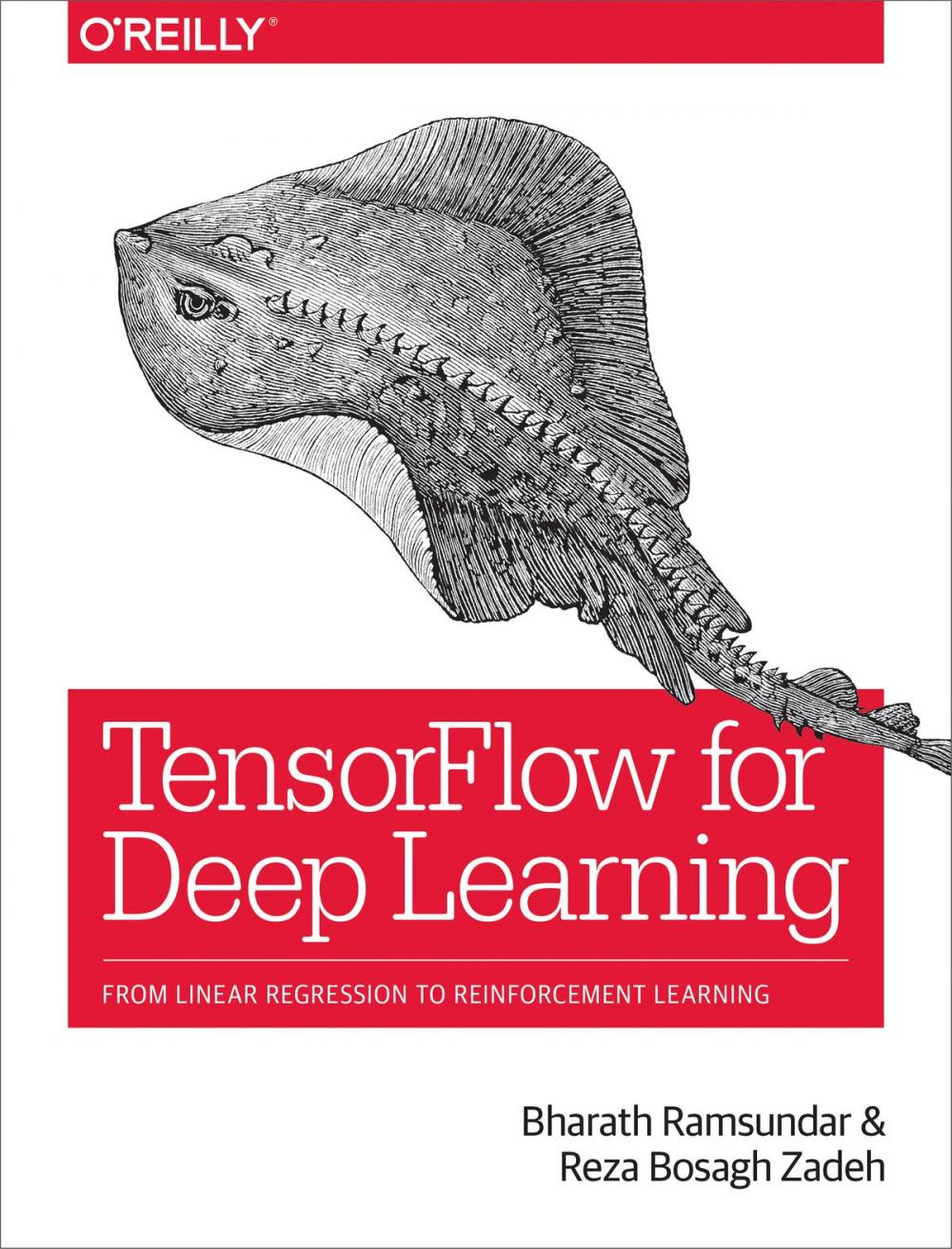 Big bigCover of TensorFlow for Deep Learning