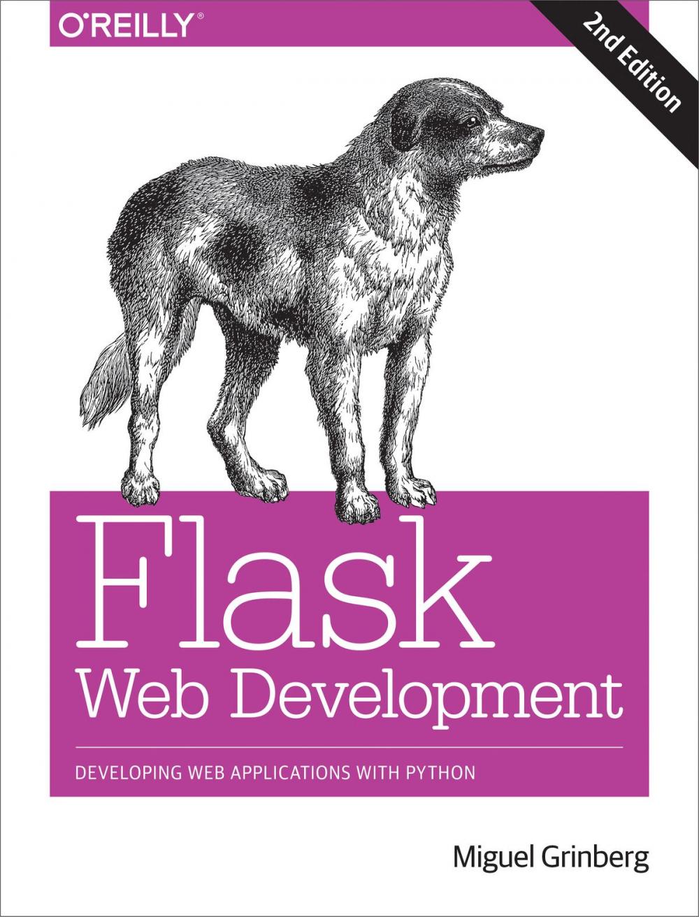 Big bigCover of Flask Web Development