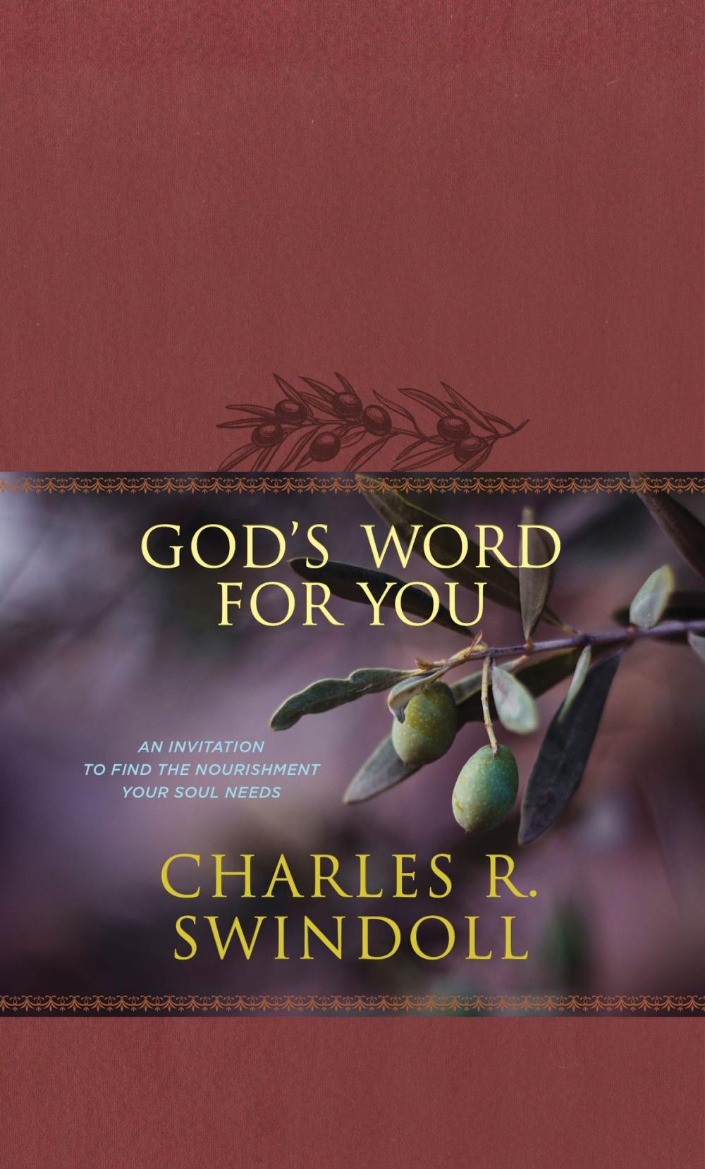 Big bigCover of God's Word for You