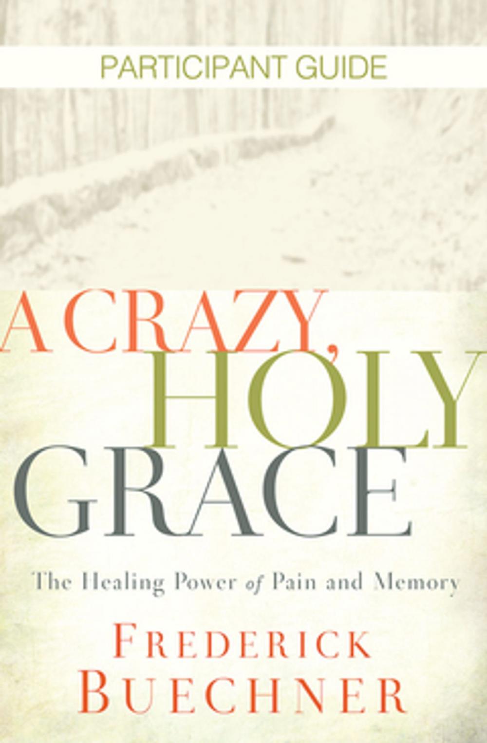 Big bigCover of A Crazy, Holy Grace Participant Guide