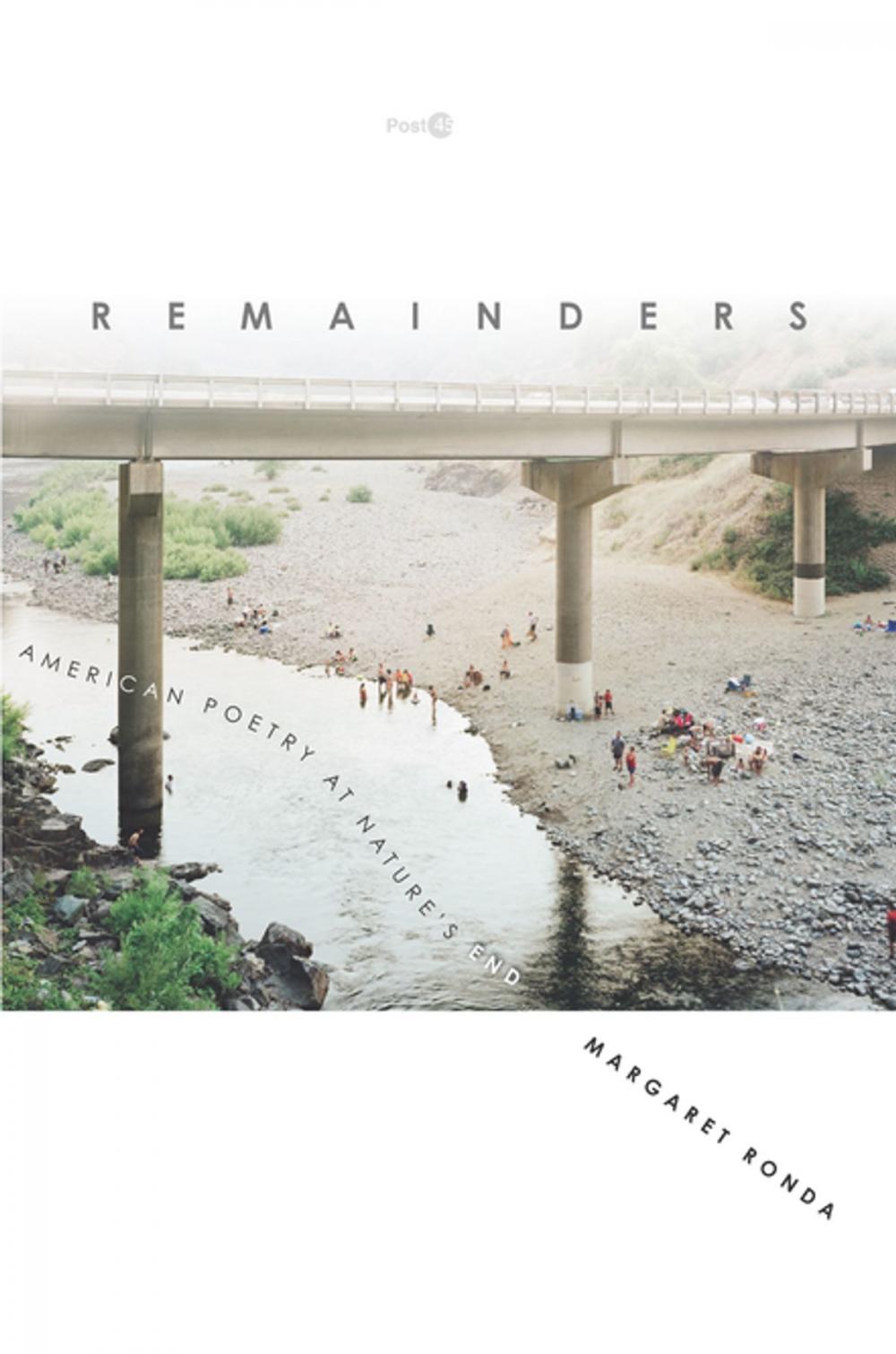 Big bigCover of Remainders