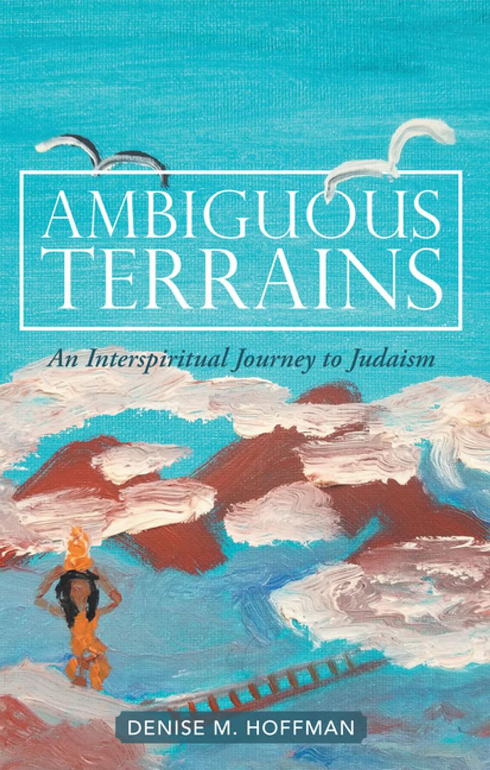 Big bigCover of Ambiguous Terrains